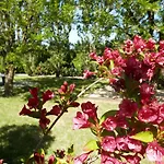 Les Cigalous Üdülőpark Salavas