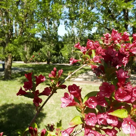 Les Cigalous Holiday park Salavas